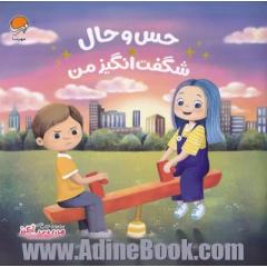 حس و حال شگفت انگیز من