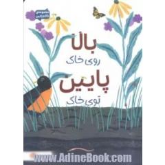 بالا روی خاک پایین توی خاک