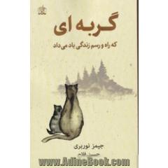 گربه ای که راه و رسم زندگی یاد می داد
