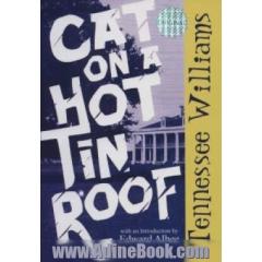 Cat on a hot in roof