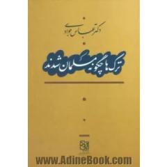 ترک ها چگونه مسلمان شدند