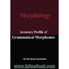 Accuracy profile of grammatical morphemes
