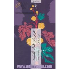 جزیره درختان گمشده (رمان103)