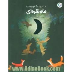 شب هنگام دور دنیا ماه نقره ای