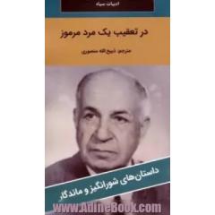 در تعقیب یک مرد مرموز