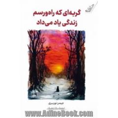 گریه ای که راه و رسم زندگی یاد می داد