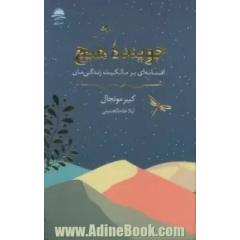 جوینده هیچ: افسانه ای بر مالکیت زندگی مان