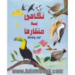 نگاهی به منقارها: ابزار پرنده ها