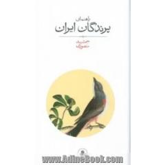 راهنمای پرندگان ایران