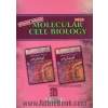 زیست شناسی سلولی و مولکولی لودیش - جلد دوم