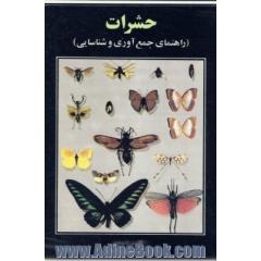 حشرات،  راهنمای جمع آوری و شناسایی