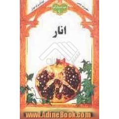 میوه های قرآنی: انار