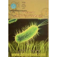میکروبیولوژی خاک: ریزموجودات و رشد گیاهان