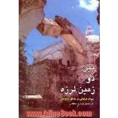 بین دو زمین لرزه،  میراث فرهنگی در مناطق زلزله خیز