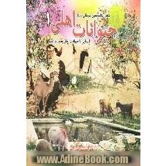 حیوانات اهلی