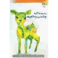 رسیده ام به چشمان بچه آهوها