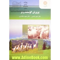 پرورش گوسفند و بز (رشته مهندسی علوم دامی)