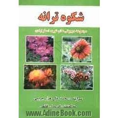 شکوه ترانه: مجموعه دوبیتی های استرآبادی