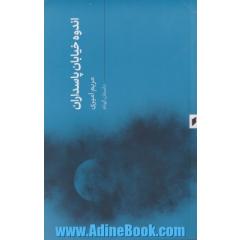 اندوه خیابان پاسداران