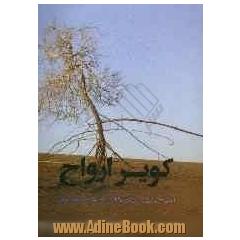 کویر ارواح (گذری بر ریگ جن با نگاهی به پارک ملی کویر)