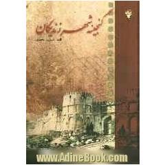 گنجینه شهر زندیگان (زنجان)