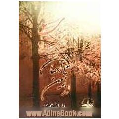 از زمین تا آسمان: مثنوی معنوی