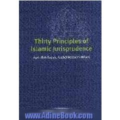 Thirty principles of Islamic jurisprudence