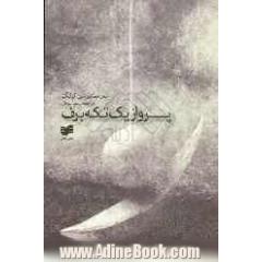 پرواز یک تکه برف: پنجره ای رو به سرزمین سین کیانگ