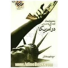 ناهنجاریهای فرهنگی و اجتماعی در آمریکا