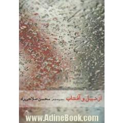 از نیل و آفتاب (شعرهای 82 - 91)