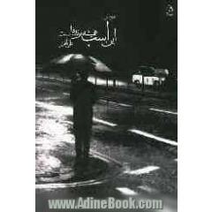 این اسب همیشه برنده است: مجموعه شعر