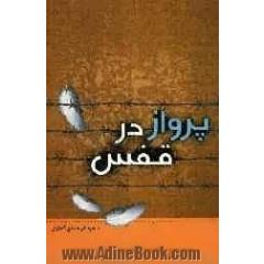 پرواز در قفس