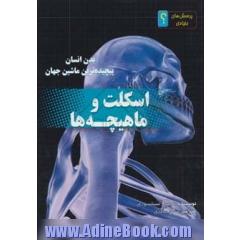 اسکلت و ماهیچه ها