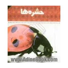 حشره ها