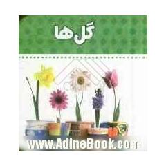 گل ها
