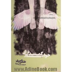 خواب گمشده مراد