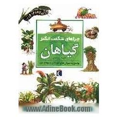 چراهای شگفت انگیز: گیاهان: پاسخ به سوال های کودکان و نوجوانان