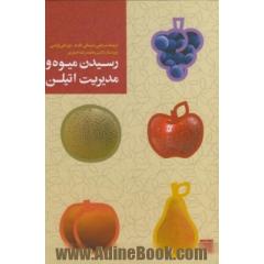 رسیدن میوه و مدیریت اتیلن