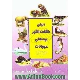 دنیای شگفت انگیز بچه های حیوانات