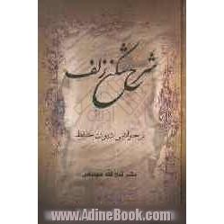 شرح شکن زلف: بر حواشی دیوان حافظ