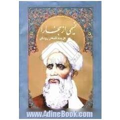 جلد کتاب نسیمی از بخارا: گزیده اشعار رودکی