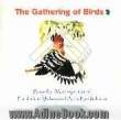 The gathering of birds: based on manteqot-tair of Faridoddin Mohammad Attar Neishabouri