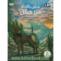 ردپایی بالاتر از مرز جنگل: داستان چمنزاری در کوهستان راکی