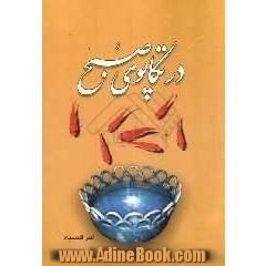 در تکاپوی صبح