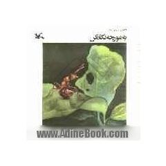 به مورچه نگاه کن