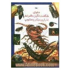 دنیای شگفت انگیز حشرات در زیر میکروسکوپ