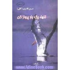 تنها، یک بار پرواز کن