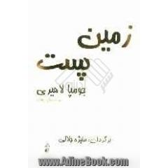 زمین پست