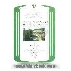 تیپ های گیاهی منطقه دریاچه هامون: (محدوده نقشه های چهارگوش دریاچه هامون 5-41 NR و چهار برجک 6-41 NH)