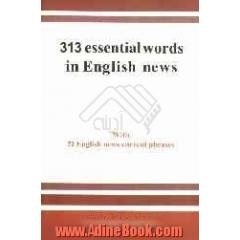 313 essential words in English news